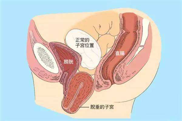 烟台妇科体检检查医院百信医院